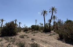 Marrakesh, Marrakesh-Safi