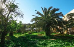 Tangier, Tanger-Tetouan-Al Hoceima