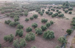J4W4+HMJ, Rte de Fès, Marrakech, Morocco, Marrakesh, Marrakesh-Safi