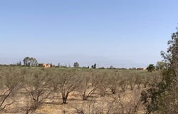Marrakech, Marrakesh-Safi 40000