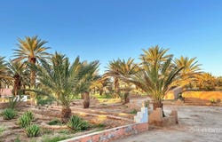 Zagora, Drâa-Tafilalet