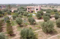 Marrakesh, Marrakesh-Safi