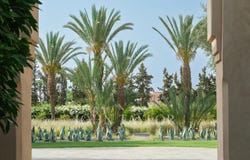 Marrakech, Marrakesh-Safi 40000