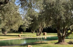 Marrakech, Marrakesh-Safi 40000