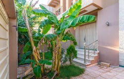 5 Bedrooms Villa in Marrakech, Morocco, Marrakech, Marrakech-Ménara 40000