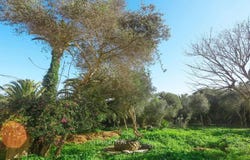 Tangier, Tanger-Tetouan-Al Hoceima