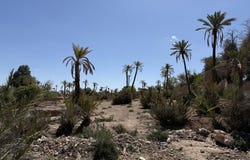 Marrakesh, Marrakesh-Safi