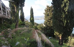 Herceg Novi, Herceg Novi Municipality 85430
