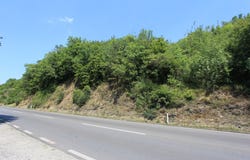 Plot in Radanovici, Kotor, Kotor