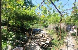 Kotor, Kotor Municipality 85339