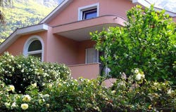 Kotor, Kotor Municipality 85339