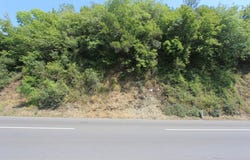 Plot in Radanovici, Kotor, Kotor