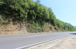 Plot in Radanovici, Kotor, Kotor
