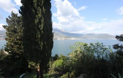 Herceg Novi, Herceg Novi Municipality 85430