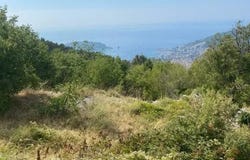 Budva, Budva Municipality 88330