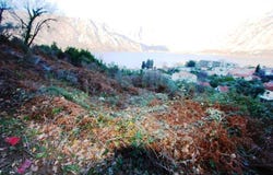 Kotor, Kotor Municipality 85339