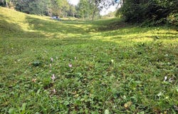 Kolašin, Kolašin Municipality
