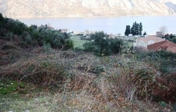 Kotor, Kotor Municipality 85339