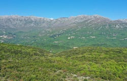 Kotor, Kotor, Kotor Municipality