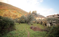 Plot in Petrovac, Petrovac, Budva