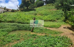 Le Lamentin, Martinique 97232
