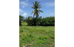 Le Marin, Martinique 97290