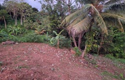 Saint-Esprit, Martinique 97270