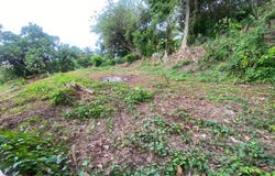 La Trinité, Martinique 97220