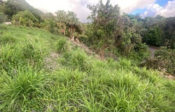 Saint-Esprit, Martinique 97270