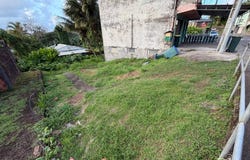 Le Robert, Martinique 97231