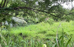 Rivière-Salée, Martinique 97215
