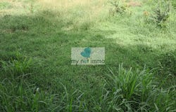 Le Vauclin, Martinique 97280