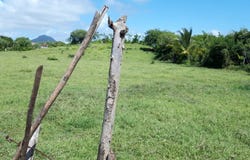 Le Vauclin, Martinique 97280