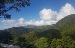 Le Morne-Vert, Martinique 97226
