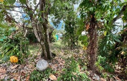 Rivière-Salée, Martinique 97215