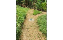 Le Lamentin, Martinique 97232