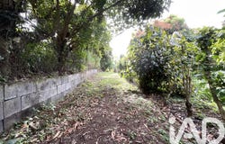 Le Morne-Vert, Saint-Pierre 97226