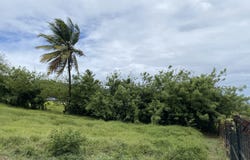 Le Marin, Martinique 97290