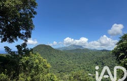 Le Morne-Vert, Saint-Pierre 97226