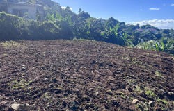Ducos, Martinique 97224