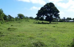 Le Vauclin, Martinique 97280