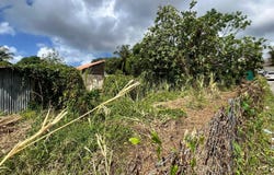 Rivière-Salée, Martinique 97215
