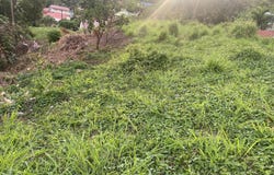 Saint-Esprit, Martinique 97270