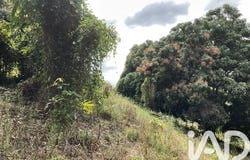 Le Morne-Vert, Saint-Pierre 97226