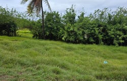 Le Marin, Martinique 97290