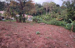 Saint-Esprit, Martinique 97270