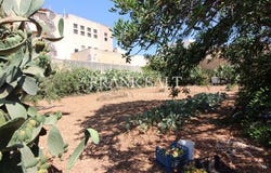 Malta, Malta