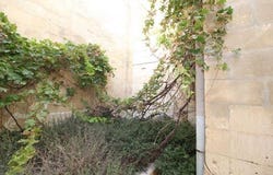 Malta, Malta