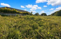 Mon Gout, Pamplemousses District