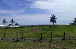 Nayarit, Nayarit